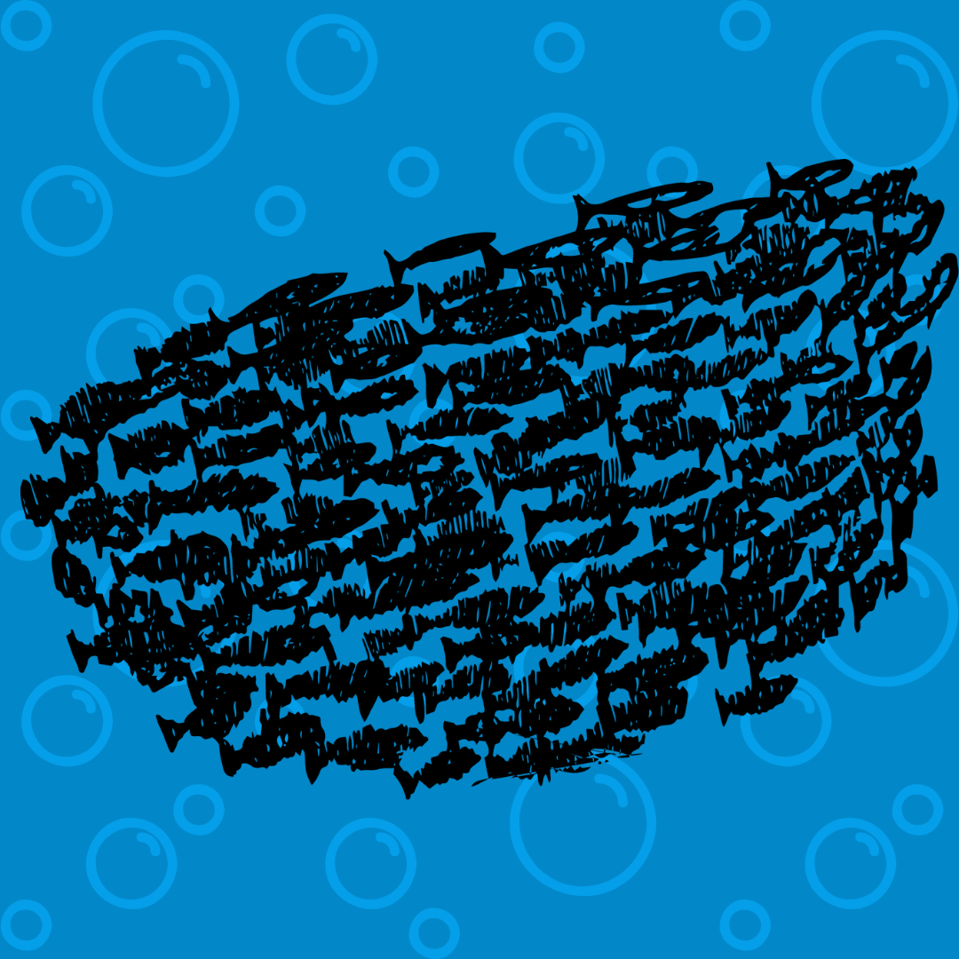 Uno para todos1 ColombiaAprende