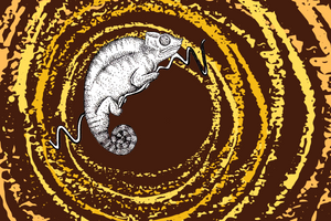 Imagen de un camaleón ColombiaAprende