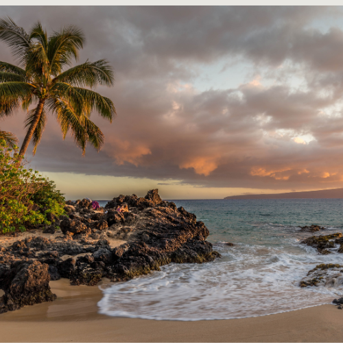 Imagen de un hermoso atardecer costero, al lado izquierdo una gran palmera que sobre sale sobre superficie rocosa que se extiende hacia la mitad de la imagen. Se ve el mar tranquilo hacia la orilla.