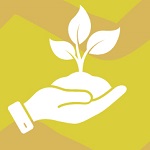 Mano sosteniendo una mata. Fondo verde