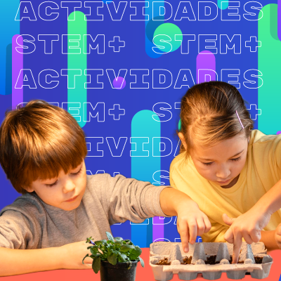 Niños mirando plantas