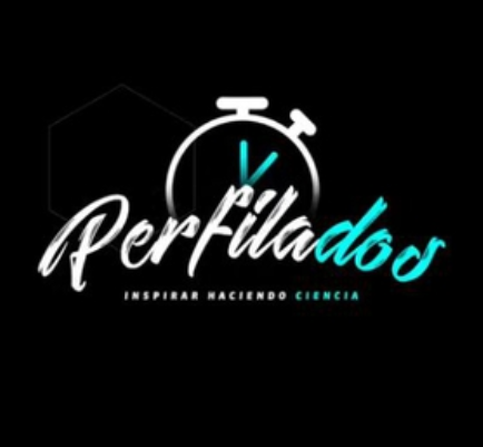 Logo Perfilados