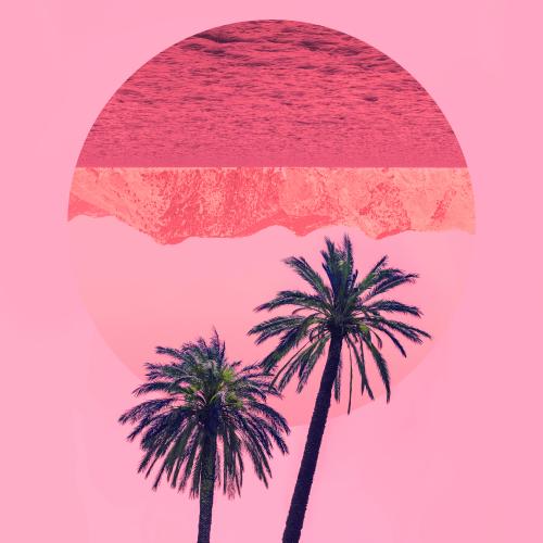 Collage palmeras y playa