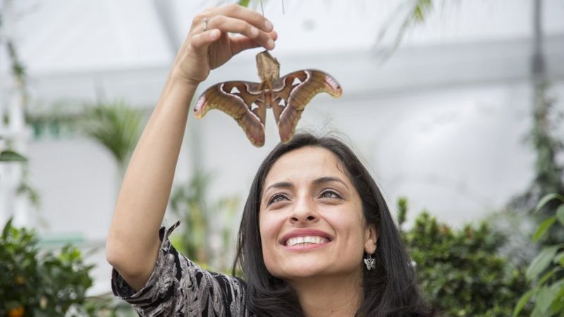 Mujer sonriente sostiene una mariposa disecada en sus manos