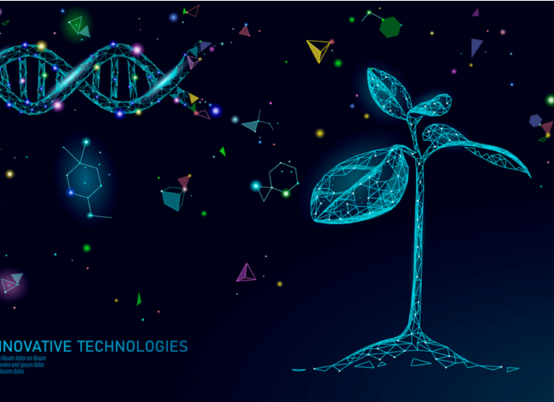 Concepto abstracto de biotecnología vegetal. árbol de semilla 3D 