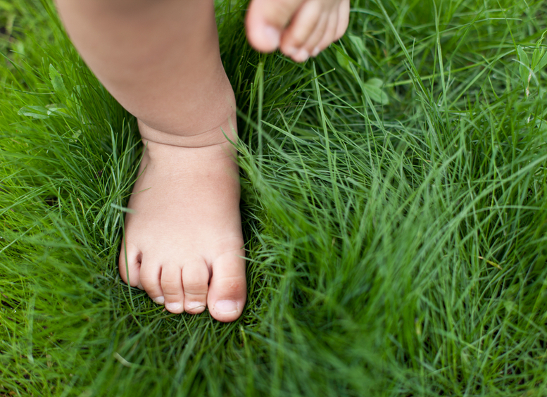 Foto de pies de niño en la hierba verde.