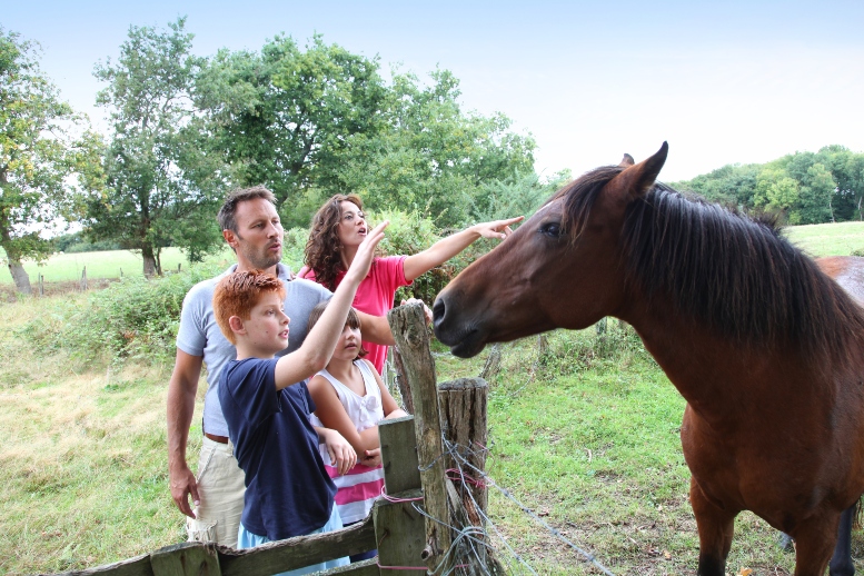 Padre, madre, niño y niña en el campo, acariciando a un caballo de color café
