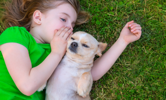 niña pelirroja, vestida de verde, tirada en el pasto junto a su perro chihuahua, a quien le dice un secreto