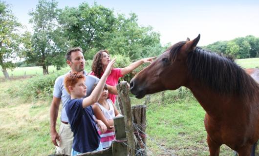 Padre, madre, niño y niña en el campo, acariciando a un caballo de color café