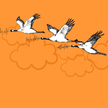 Tres patos volando sobre un cielo anaranjado ColombiaAprende