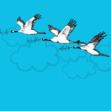 Tres patos volando sobre un cielo azul Colombia Aprende
