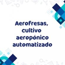 Imagen con texto: Aerofresas, cultivo aeropónico automatizado