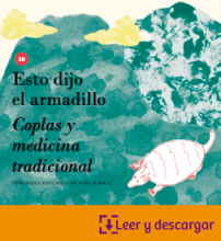 Portada libro Esto dijo el armadillo