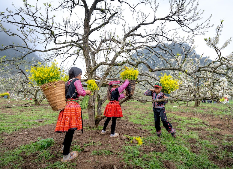 Tres niños en el campo cargan en la espalda, un cesto con flores amarillas 