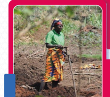 Mujer afro cavando tierra
