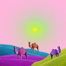 Sobre comienzos y finales de un cuento Camellos y horizonte