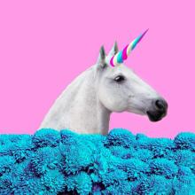 Hablemos con Francisco Montaña, autor de libros para niños y adolescentes Caballo collage